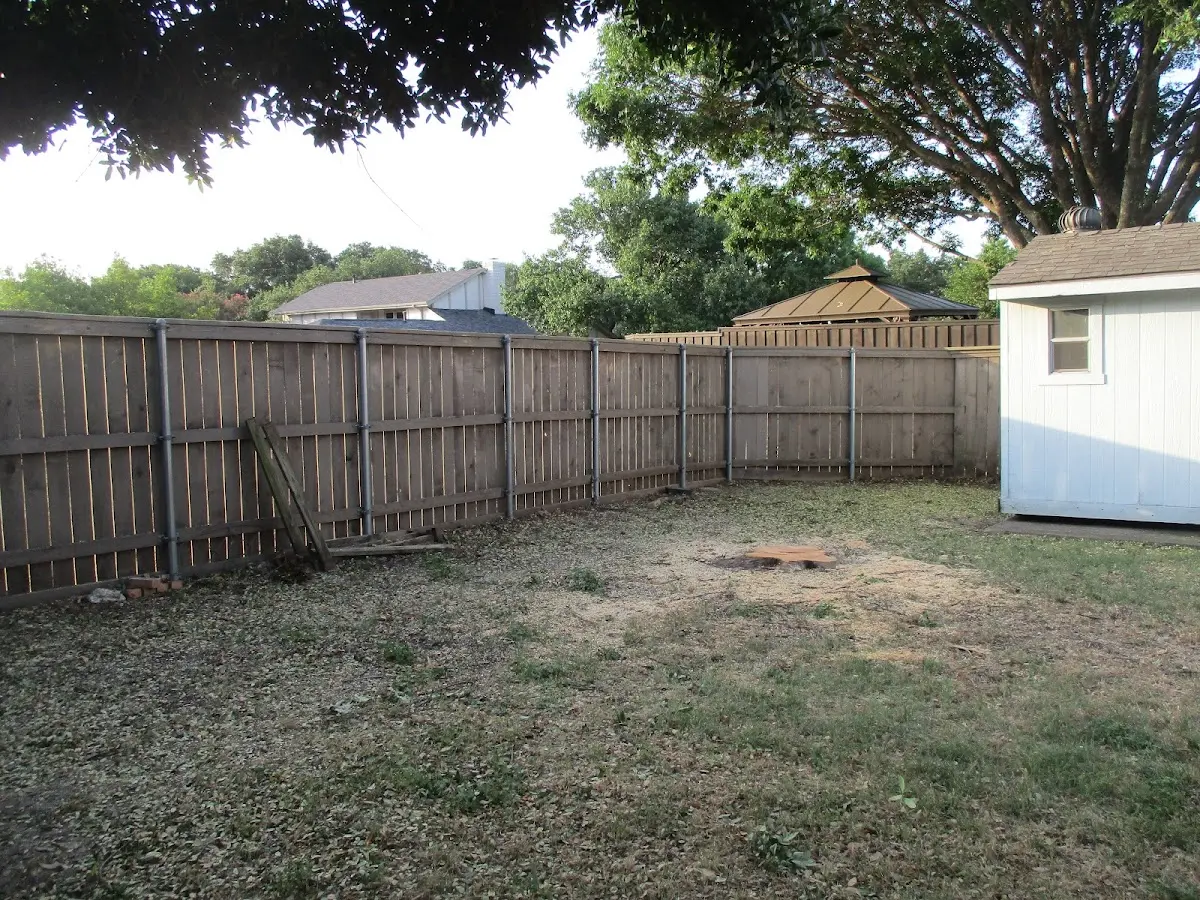 Cleared yard after professional tree removal in Beetown